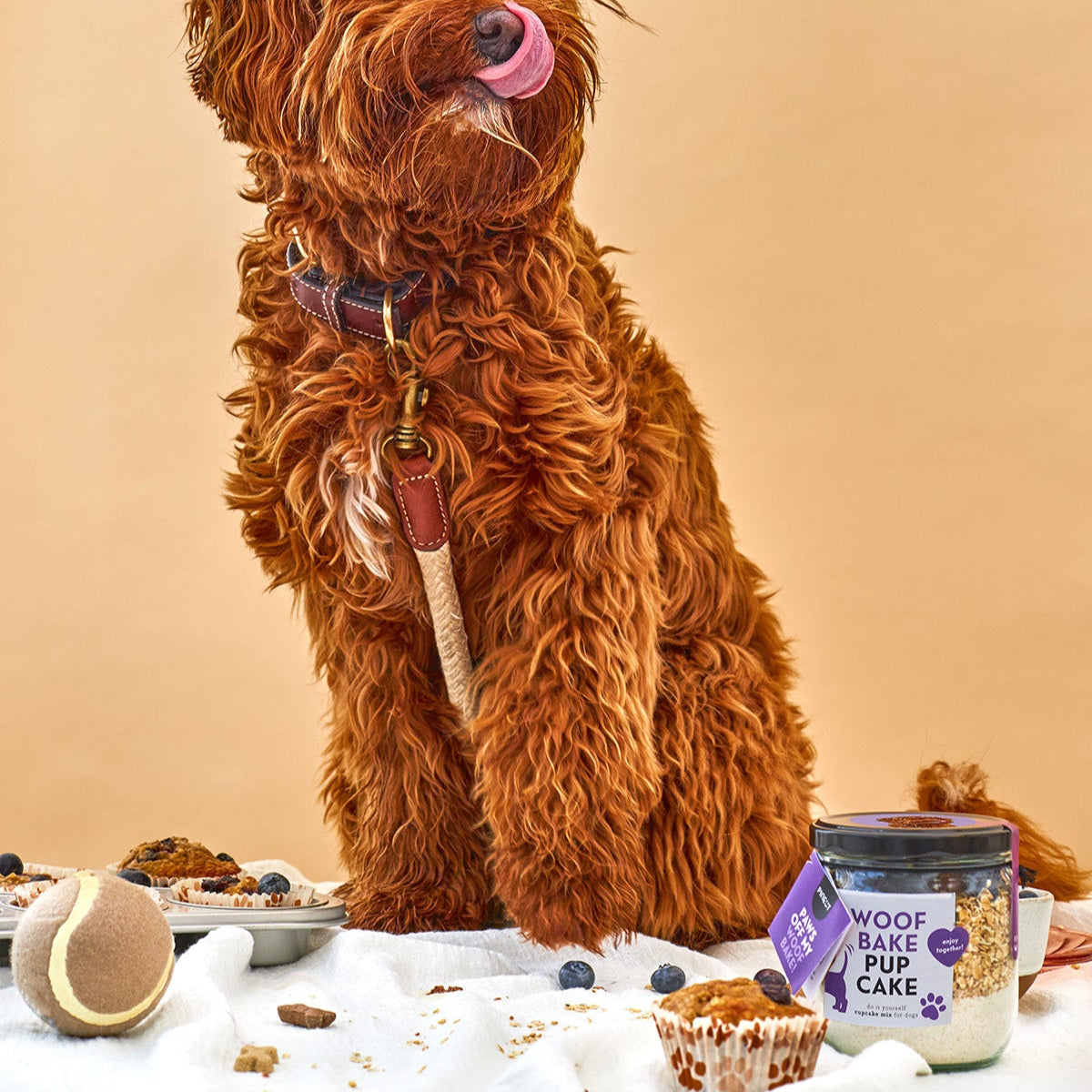 WoofBake | Pupcake BIO
