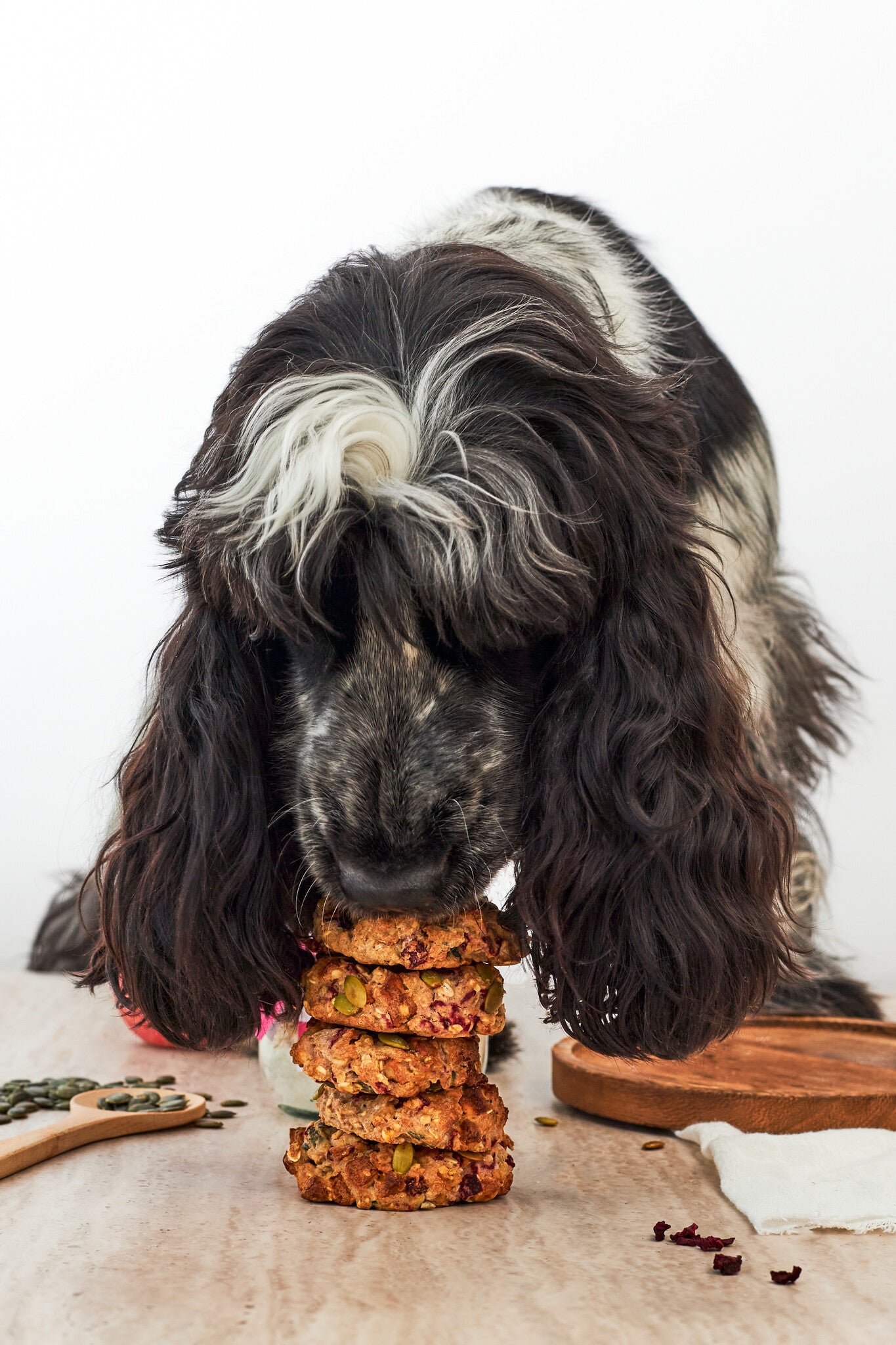 DIY Hondenkoekjes Bakmix | WoofBake | Dognuts