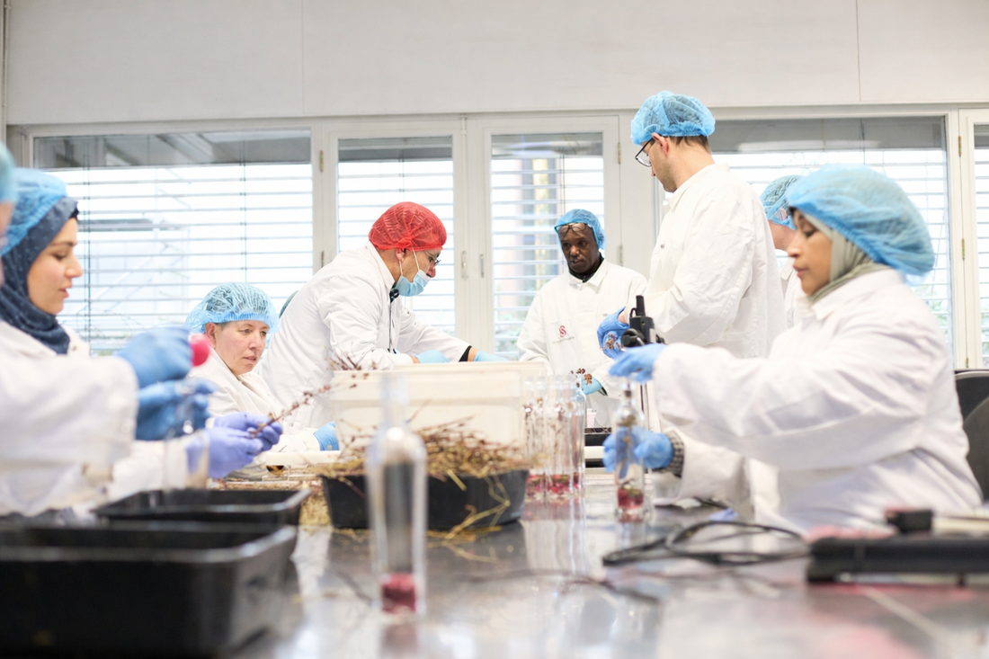 De hele dag koffie drinken | Het verhaal van Jinow