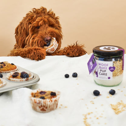 Kwispelpakket | WoofBake | Giftpack