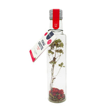 Vinaigrette | fles | Framboos, Granaatappel & Munt