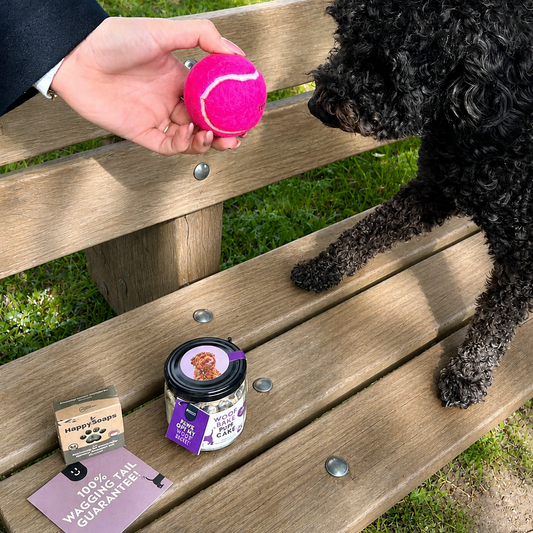 Kwispelpakket | WoofBake | Giftpack