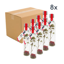 Préparation pour vinaigrette framboise, grenade & menthe | Bouteille cadeau | Dressing fruité & raffiné