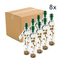 Préparation pour vinaigrette aux herbes italiennes | Bouteille cadeau | Dressing maison parfumé & méditerranéen