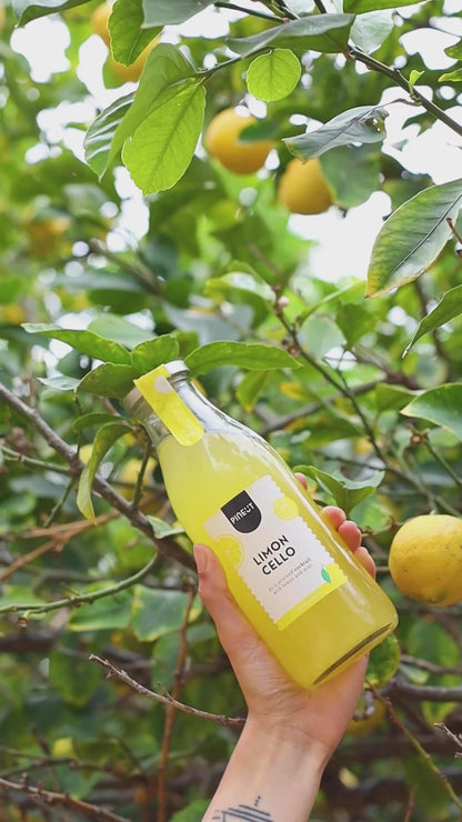 Limoncello maken | DIY Cocktail in fles | BIO | Pineut