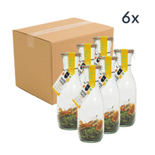 Watertwist | Citrus, Mint & Verbena | in carafe | BIO | Pineut
