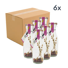 Watertwist | Carafe | Rose, Mountain Tea & Hibiscus